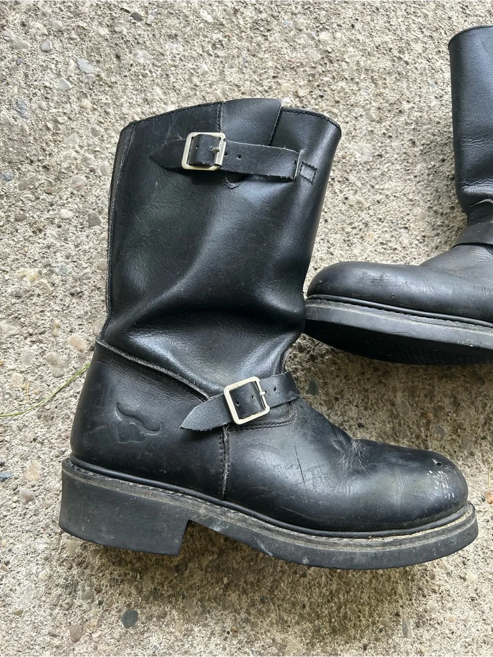 Texas Steer durable black